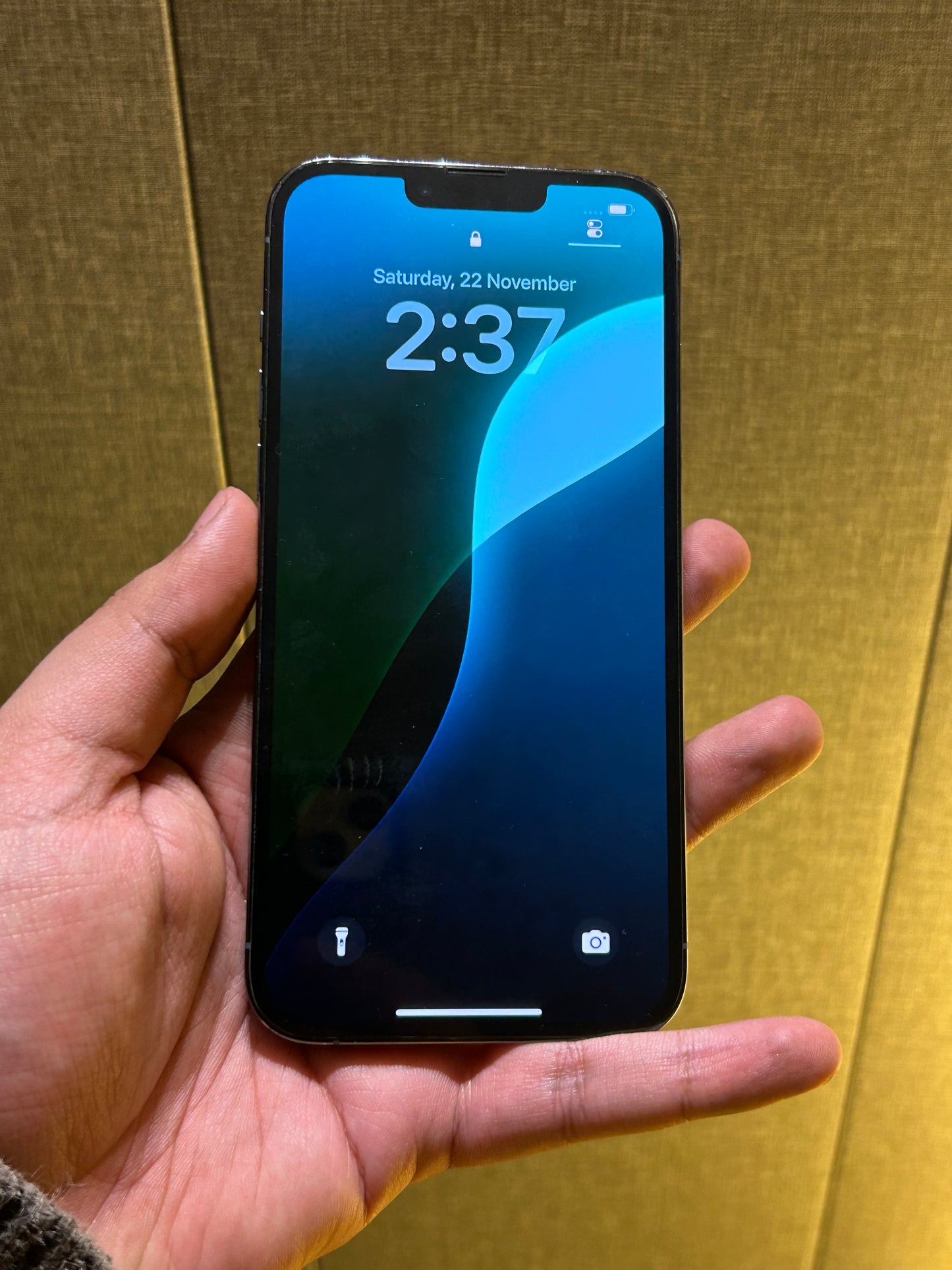 iPhone 13 Pro Max ( 512 GB )